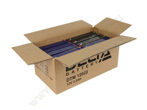 Открытая коробка с аккумуляторами Delta DTM 12022